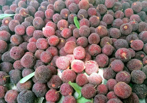 ผลไม้ 4 ชนิด หากมีสัญญาณเหล่านี้ ถูกแค่ไหนก็ไม่ควรซื้อ คนขายเองยังไม่กล้ากิน