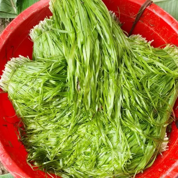 ผัก "ธรรมดา" ชนิดนี้มีแคลเซียมมากกว่าน้ำซุปกระดูกถึง 36 เท่า :