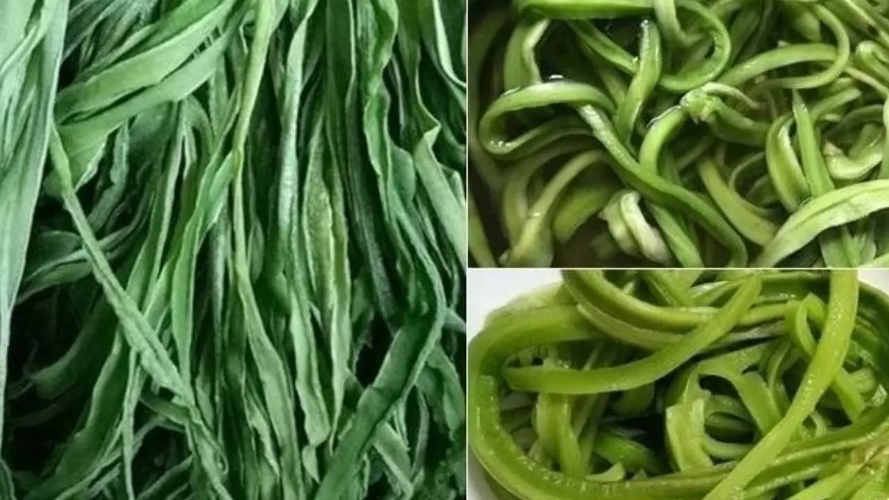 ทั้งตลาดมีผักชนิดเดียวที่ “แพงกว่าเนื้อ” คุณค่าเทียบรังนก – ขึ้นทั่วไปในไทยแต่คนน้อยรู้