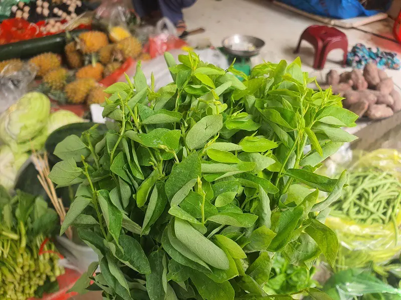 ผักชนิดนี้มีธาตุเหล็กมากกว่าเนื้อวัวถึง 6 เท่า ช่วยบำรุงสุขภาพ: ขึ้นเต็มตามมุมสวน แถมยังใ