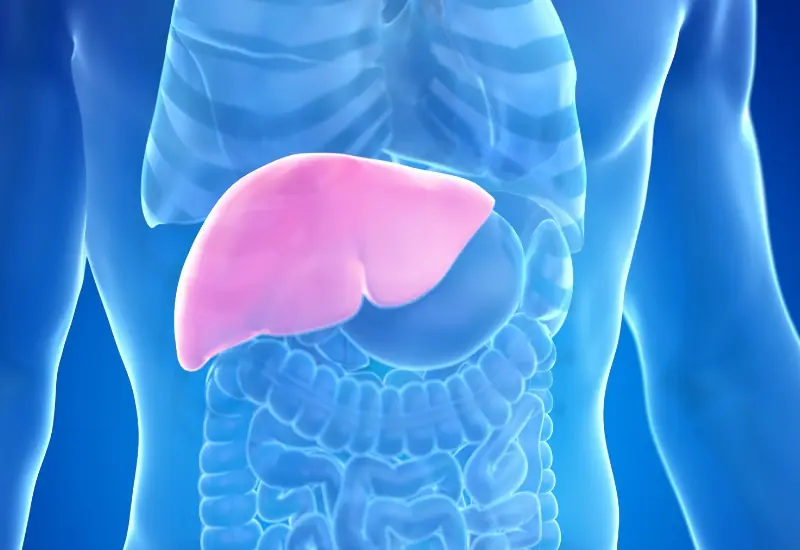 5 อาหารทำลายตับตัวร้าย ใกล้ตัวกว่าที่คิด: หมอเตือนอย่าเสียดาย กินเข้าไปเสี่ยงโรค