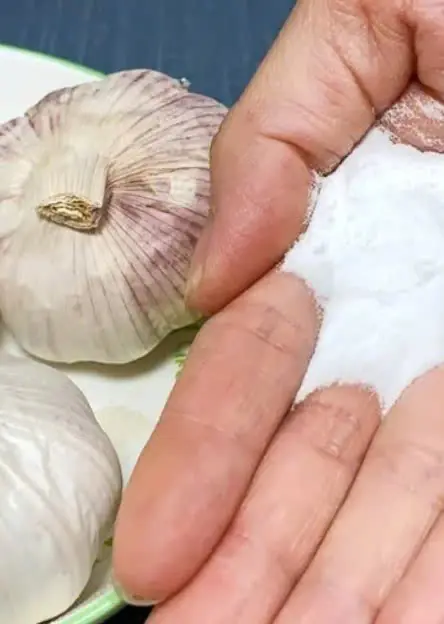 เก็บกระเทียมให้อยู่ได้นาน แค่เติมสิ่งนี้ ก็เก็บได้ถึง 2 ปี ไม่ขึ้นรา ไม่งอก