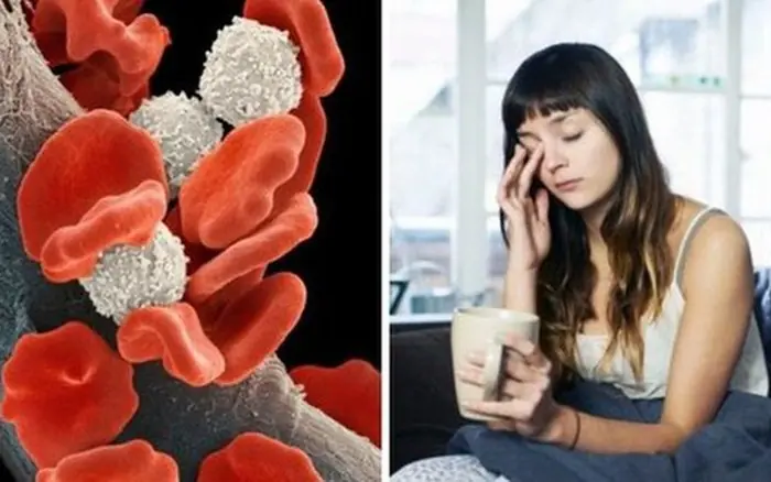 7 สัญญาณเตือน! ร่างกายคุณอาจกำลัง “เลี้ยง” เซลล์มะเร็งแบบไม่รู้ตัว