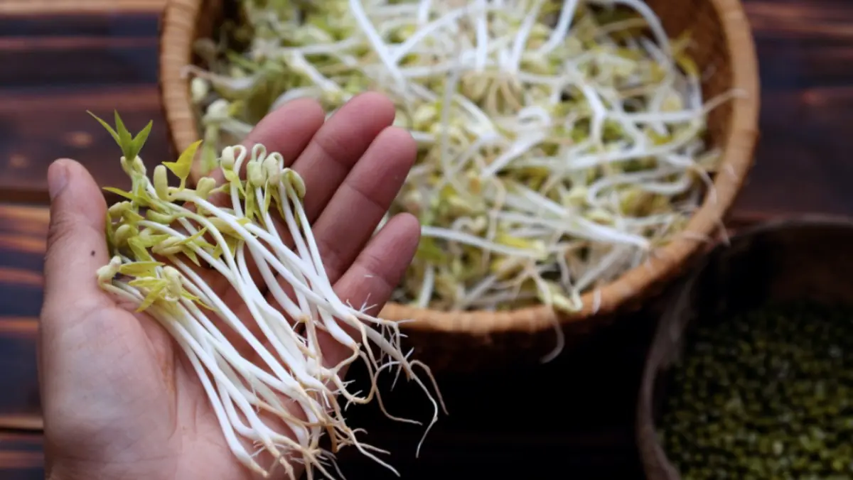 5 อาหารที่ช่วยยืดอายุขัย ถั่วงอกอยู่อันดับ 5 ส่วนอันดับ 1 หลายคนคาดไม่ถึง