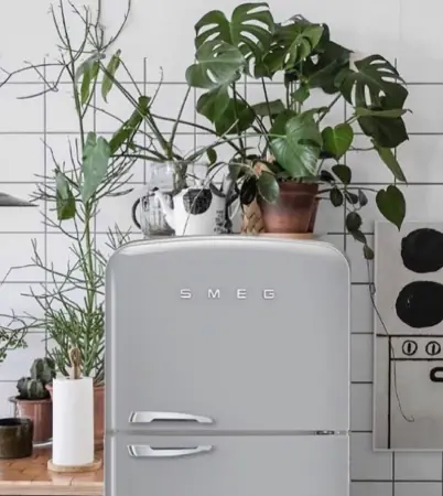 หลายบ้านยังทำ! ช่างไฟเตือนอย่าวาง 3 สิ่งนี้ไว้บน "ตู้เย็น" เปลืองไฟมาก แถมเสื่อมสภาพเร็ว