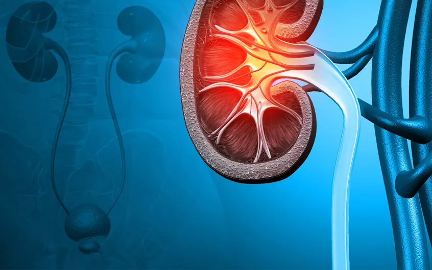 สูญเ.สียไ.ตทั้งสองข้างก่อนอายุ 30 ปี: แพทย์เตือน 2 พฤติกรรมเสี่.ยงไ.ตวาย คนไทยจำนวนมากกำลังทำอ