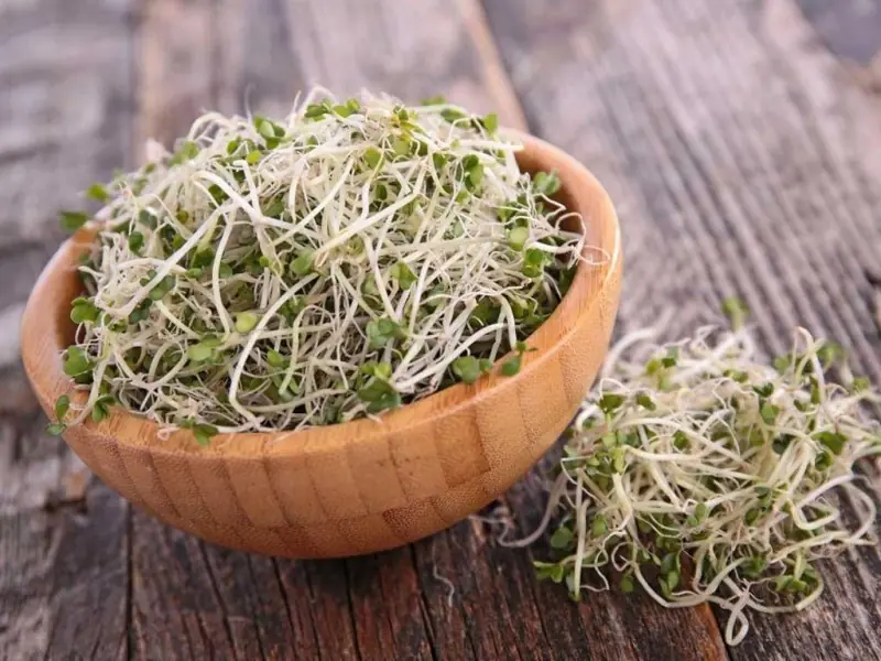 ผู้เชี่ยวชาญเตือนให้ระมัดระวังเมื่อรับประทานผักชนิดหนึ่ง เพราะ "มีแบคทีเรียอยู่มาก"