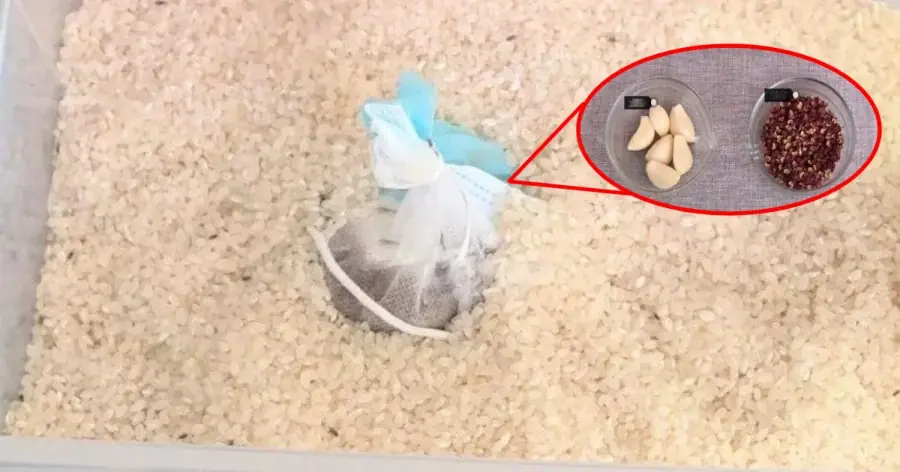 ใส่สิ่งนี้ลงไปในถังข้าว หมดกังวลเรื่องมอดกวนใจ เก็บไว้นานแค่ไหน ข้าวก็ยังนุ่มอร่อยเหมือ