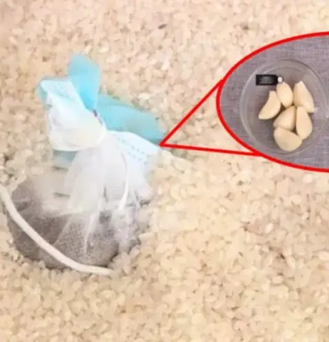 ใส่ของง่ายๆ ลงในถังข้าว ช่วยกันมอดและคงความหอมของข้าวได้นาน หลายบ้านยังไม่รู้