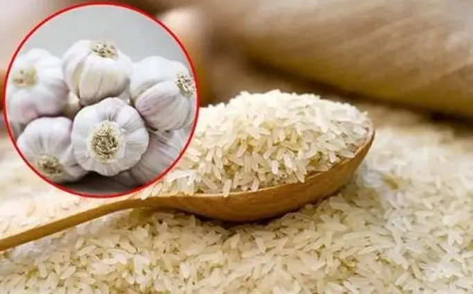 ใส่สิ่งนี้ลงในถังข้าว เก็บไว้ได้ทั้งปีไม่ต้องกลัวมอด