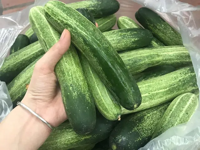 เกิดอะไรขึ้นกับร่างกายของคุณ เมื่อกินแตงกวาทุกวัน