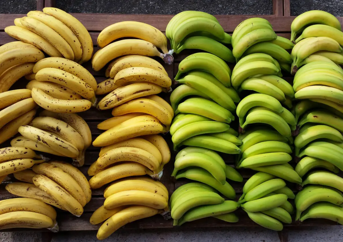 กล้วยดิบหรือกล้วยสุก: แบบไหนดีก.ว่าต่อสุข.ภาพ?