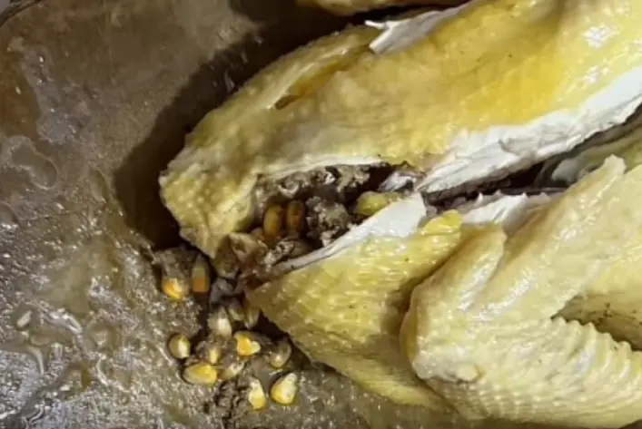 ทำความรู้จักกับปรากฏการณ์ไก่ต้มไส้ข้าวโพด: เรื่องแปลกหรือแค่เรื่องธรรมดา?