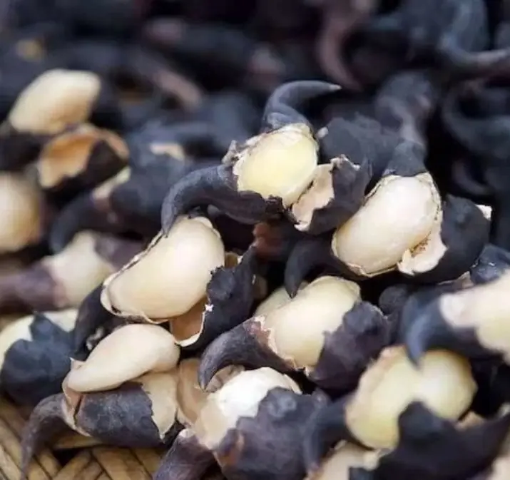 เพียงกินแค่ 1 ชิ้น อาจมี.พ.ยาธิเข้าสู่ร่างกายได้มากถึง 100,000 ตัว แต่หลายคนกลับมองข้ามและเผลอก