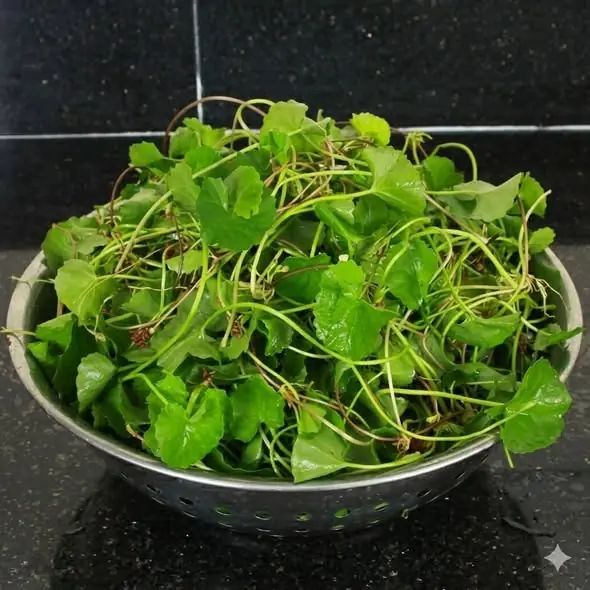 ผักที่มีพยาธิเยอะที่สุดอันดับ 1 คนไทยนิยมกินสด มีประโยชน์แต่เสี่ยงปรสิต