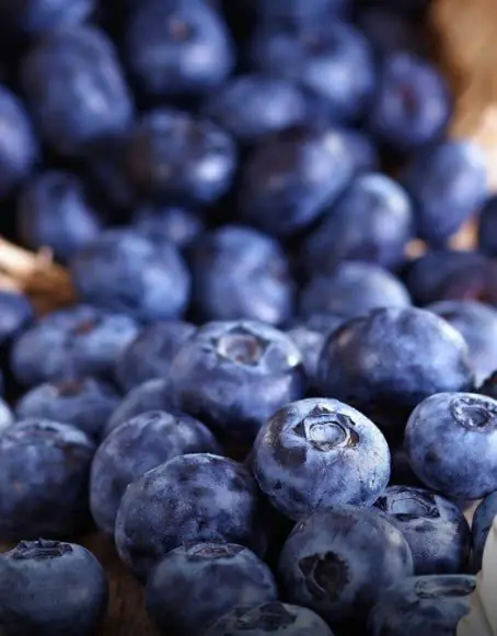 มหาวิทยาลัยฮาร์วาร์ดจัดอันดับ 4 ผลไม้ “ยืดอายุขัย” ผลไม้ที่คว้าอันดับ 1 นั้น หลายคนคาดไม่ถึ