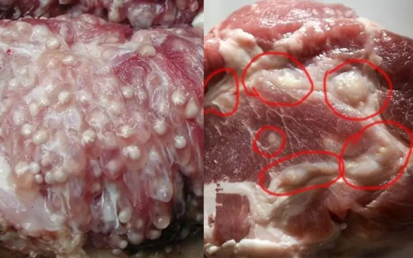 เนื้อหมูที่มี 4 ลักษณะนี้ ต่อให้ราคาถูกแค่ไหนก็อย่ารีบซื้อกลับบ้าน