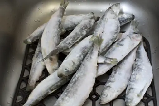 เด็กชายวัย 9 ขวบป่วยมะเร็งเม็ดเลือดขาว แพทย์เตือนอาจเกี่ยวข้องกับการกินปลาเป็นประจำ 3 ชนิ