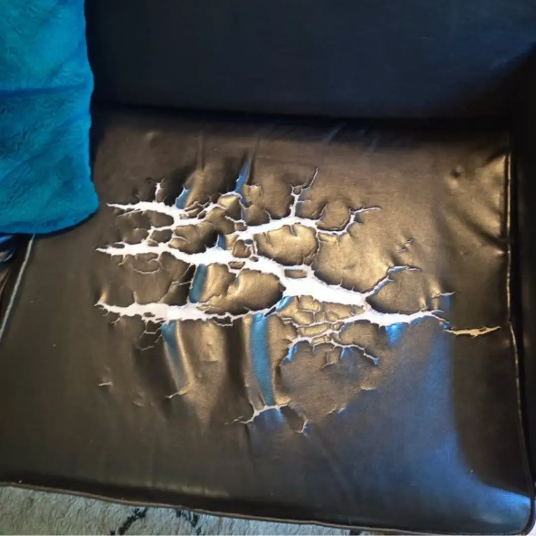 ปล่อยลูกไว้กับพ่อ แม่ไปเที่ยว 3 วัน เอะใจลูกบอก "ไม่คิดถึง" เห็นคราบบนโซฟาปรี๊ดแตก!