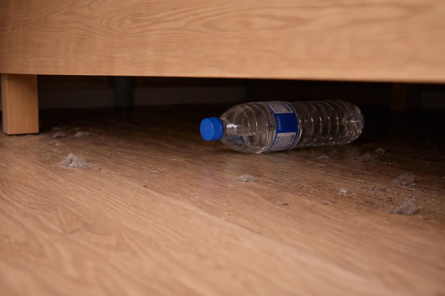 ทำไมคนฉลาดถึง “โยนขวดน้ำ” ลงใต้เตียงทันทีที่เข้าพักโรงแรม? รู้เหตุผลแล้วอึ้ง!