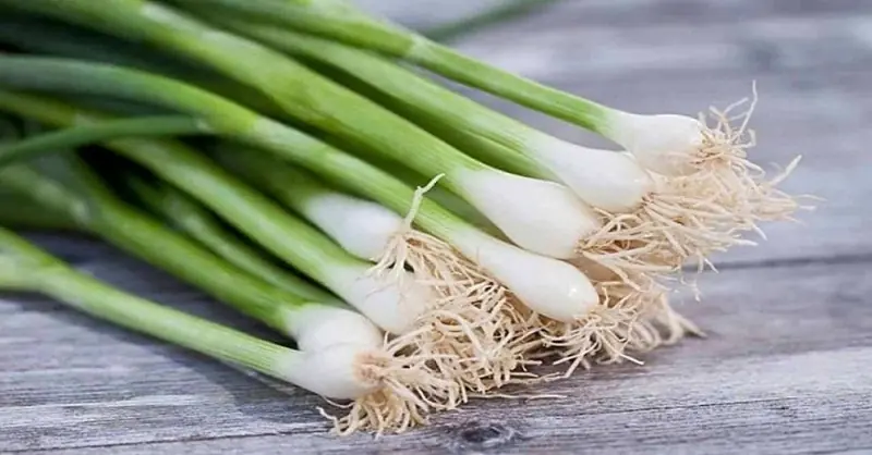 เคล็ดลับการกินดูแลตัวหลังหายป่วย ช่วยฟื้นฟูสุขภาพให้แข็งแรง