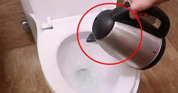 ทำไมต้องต้มน้ำเทลงโถส้วมเมื่อเข้าพักในโรงแรม?