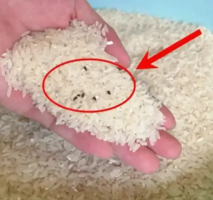 คำสอนโบราณไม่เคยผิด: ข้าวสาร ห้ามเก็บไว้ใน 5 ที่นี้ เสี่ยงเชื้อรา-ป่วยทั้งบ้าน หนี้สินท่วมห