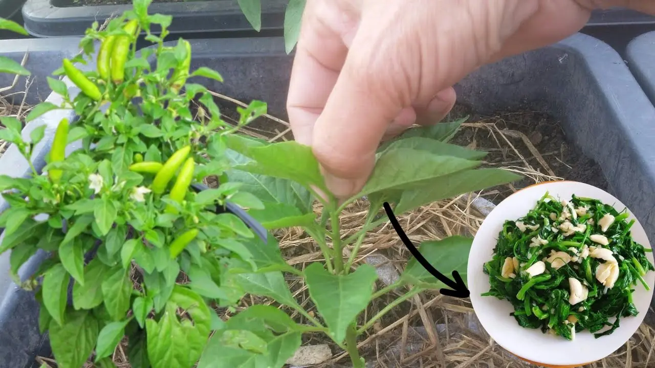 เปิดดวงชะตา 4 ราศี สงกรานต์นี้ จะถูกรางวัลใหญ่แบบไม่คาดฝัน