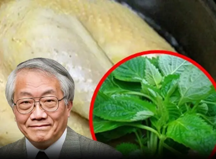 หัวข้อรอง: เจาะลึกอาหารที่ควรระวังเพื่อสุขภาพที่ดีของคนไทย