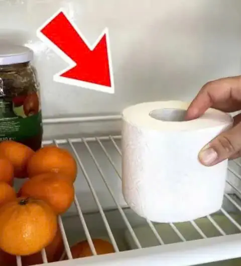 เอากระดาษทิชชู่ 1 ม้วนใส่ในตู้เย็น ฉันเสียดายที่ไม่รู้วิธีนี้ตั้งแต่เนิ่น ๆ