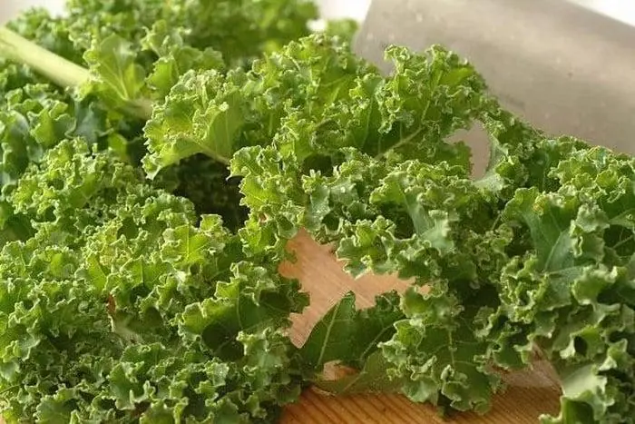 ผักที่หลายคนมองข้าม แต่กลับช่วยบำรุงตับ และทำให้นอนหลับได้ดีขึ้น