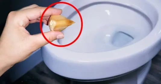 การใส่กระเทียมลงในชักโครกทิ้งไว้ข้ามคืนให้ผลลัพธ์ที่น่าประหลาดใจ ทำให้หลายคนลองทำตามบ