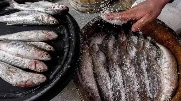 เปิดโปง 3 ปลาร้ายในตลาดที่คนไทยชอบกินแต่ทำลายสุขภาพ