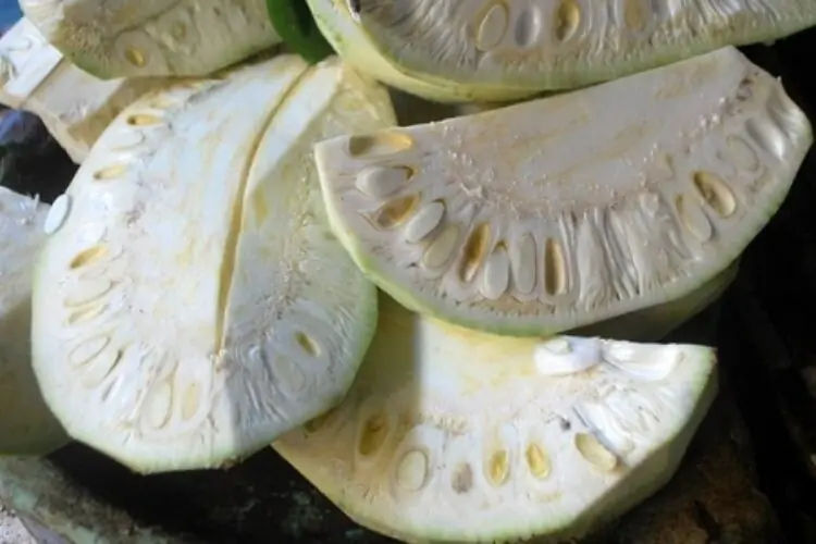 ส่วนล้ำค่าของ “ขนุน” ที่คนไทยมักทิ้ง ทั้งที่มีประโยชน์สูง