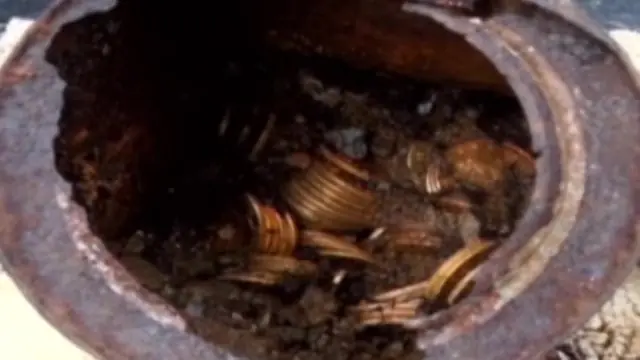 รวยไปทั้งชาติ! พาหมาเดินเล่นเจอกระป๋องใส่เหรียญทอง แยกขายได้เหรียญละ 34 ล้าน