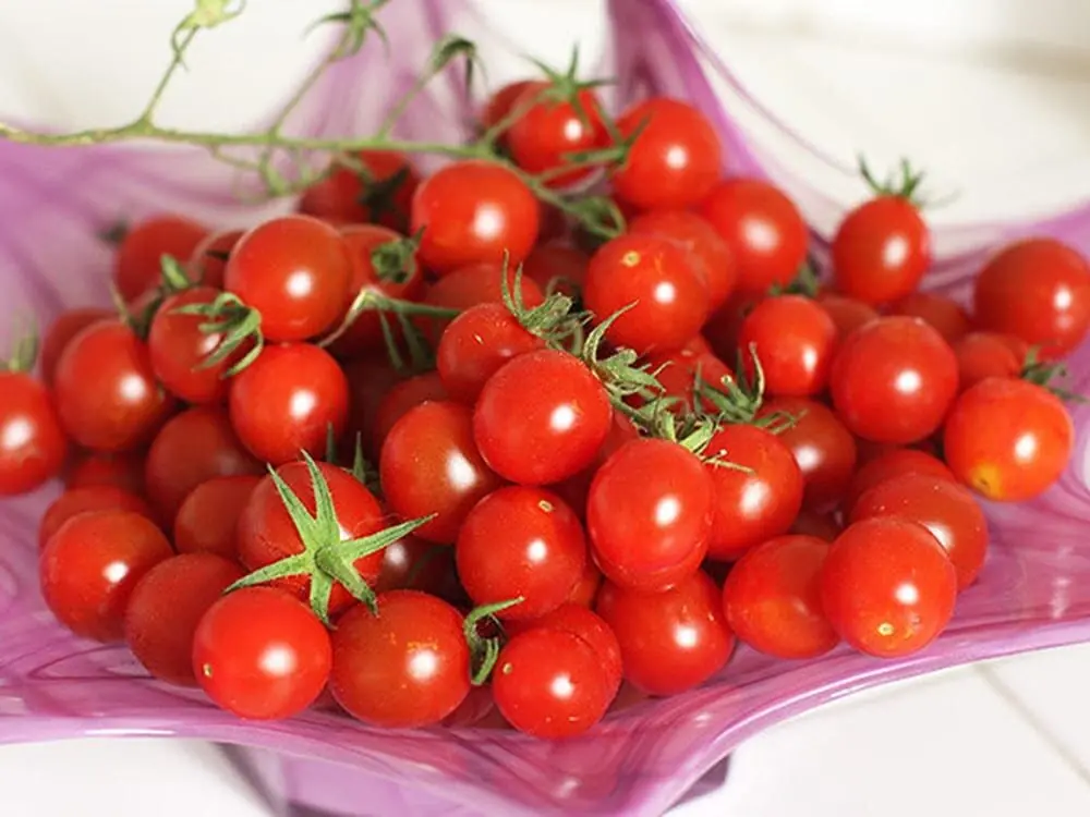 5 อาหารช่วยยืดอายุ ถั่วงอกอยู่อันดับ 5 อันดับ 1 หลายคนคาดไม่ถึง