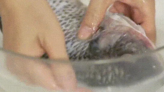 อย่าล้างปลาแค่น้ำเปล่า! แค่แช่ “น้ำนี้” 15 นาที กลิ่นคาวหายเกลี้ยง เนื้อปลาเด้ง สดเหมือนเพิ