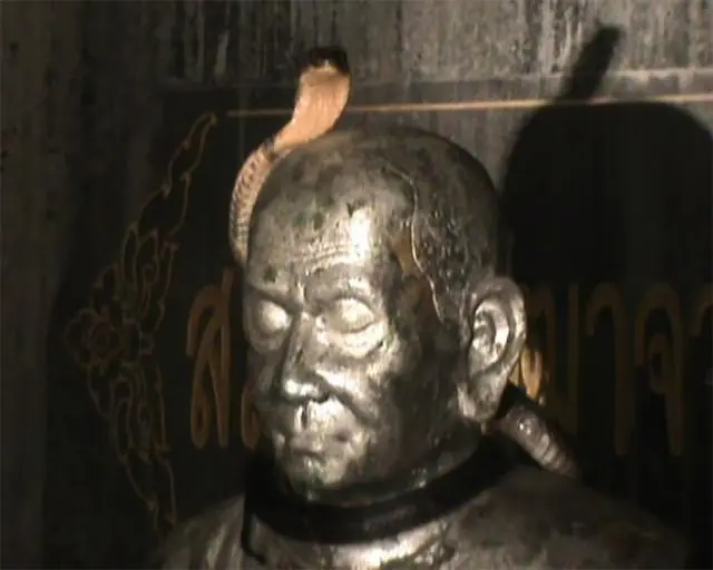 ตะลึง! งูจงอางแผ่แม่เบี้ยบนรูปปั้นสมเด็จโต