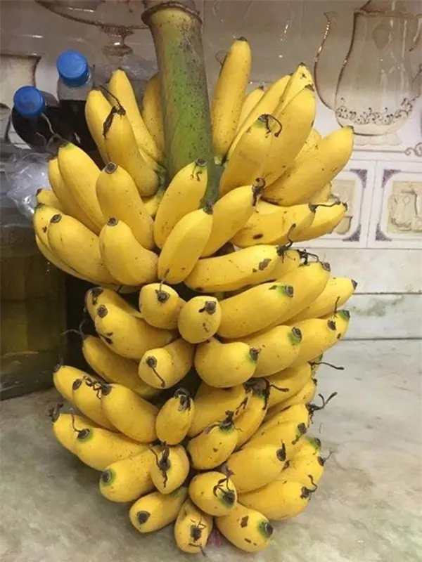 ชายวัย 59 กินกล้วย 2-3 ลูกทุกคืน 1 ปีต่อมาไปหาหมอ พบความจริงที่คาดไม่ถึง