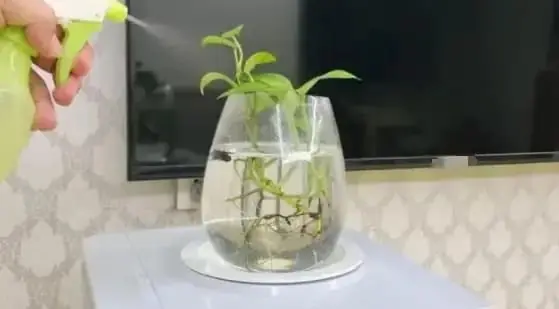 ไม่ว่าครอบครัวของคุณจะรวยแค่ไหน ก็ไม่ควรวาง 4 สิ่งนี้ไว้ข้างทีวี! หลายคนยังไม่รู้ รีบเก็บ