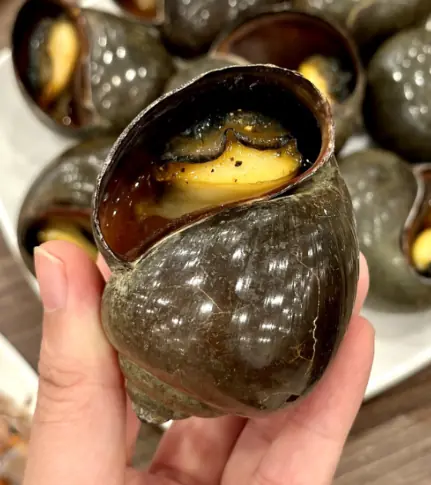 ทำความรู้จักกับหอยเชอรี่สีทอง อัญมณีแห่งแหล่งน้ำที่กินได้จริง