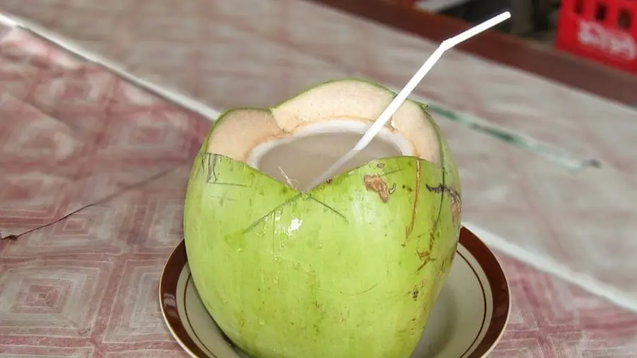 เกิดอะไรขึ้นกับร่างกาย หากคุณดื่ม “น้ำมะพร้าวตอนเช้า” เป็นประจำ? ความจริงที่หลายคนอาจไม่