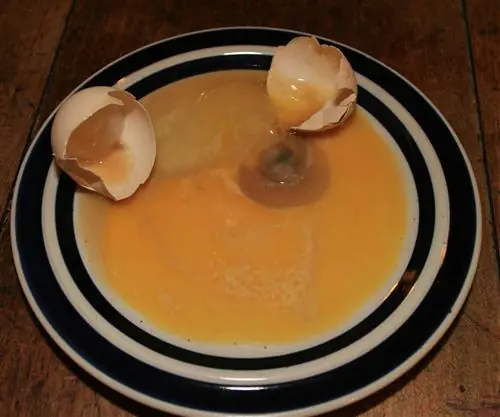 หากพบไข่มี 4 ลักษณะนี้ ควรทิ้งทันที เพื่อความปลอดภัยของร่างกาย