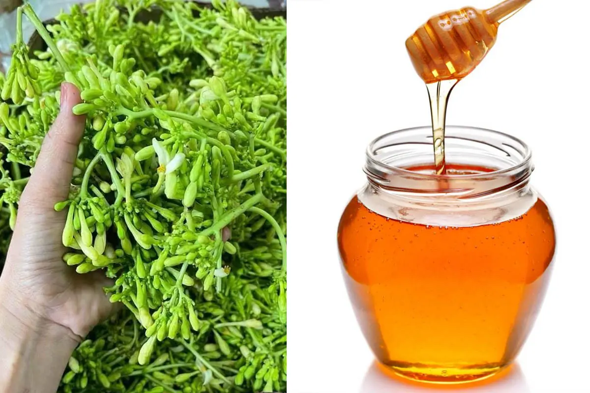 ดอกมะละกอตัวผู้แช่น้ำผึ้ง 9 สรรพคุณดีต่อสุขภาพ ที่หลายคนยังไม่รู้