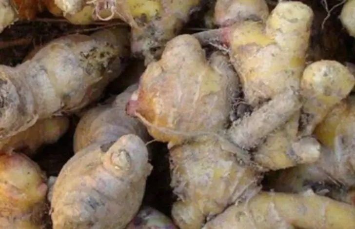 ผัก 4 ชนิด "มีพิ.ษ" ที่ทำล.าย "ตั.บ" แบ.บเงีย.บๆ แต่กลับพบบนโต๊ะอาหารหลายครอบครัว!