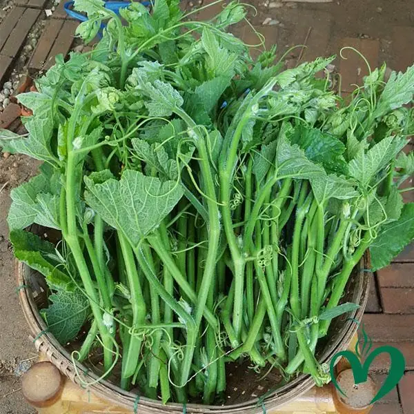 เคล็ดลับอายุยืน ชนะโรคร้ายด้วยพลังจากธรรมชาติ