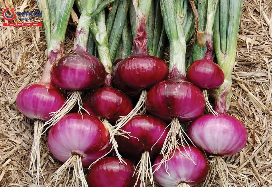 เคล็ดลับอายุยืน! ชนะโรคร้ายด้วย 3 อาหารใกล้ตัว