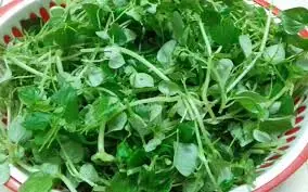 สุดยอดพลังธรรมชาติจากผักใบเขียวที่ช่วยบำรุงร่างกายให้แข็งแรง