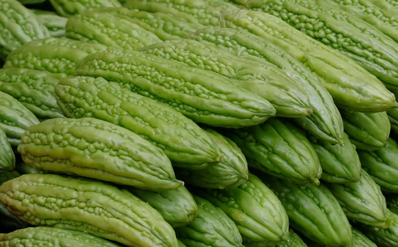 หญิงวัย 52 กินมะระขึ้นกทุกคืน กันไขมันในเ.ลื.อด 6 เดือนผ่านไป ตรวจสุขภาพเจอผลที่ไม่คาดคิด