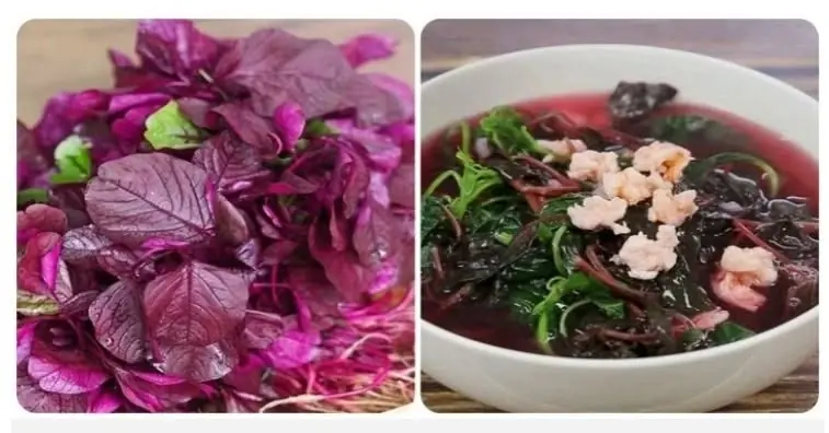 ผักไทยชนิดนี้มีธาตุเหล็กสูงกว่าเนื้อวัว จีนยกให้เหมือน “ทองคำ” ดีต่อตับและหัวใจ